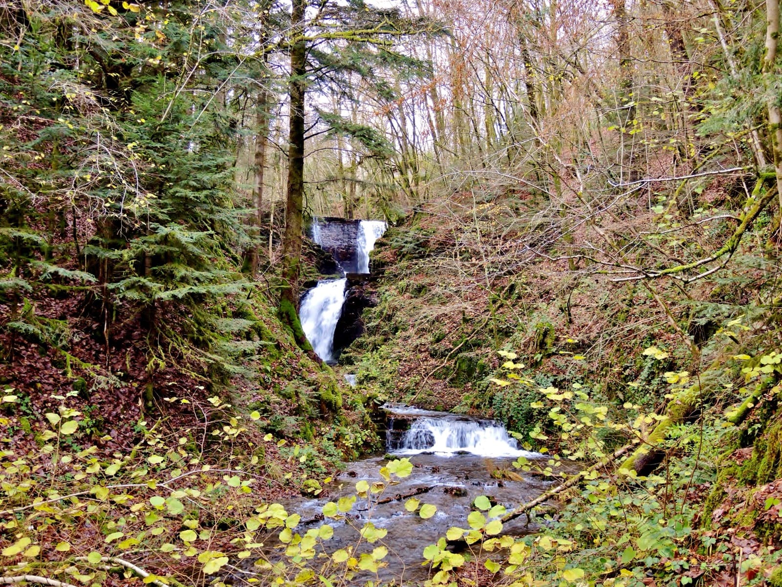 Cascade du Seebach
