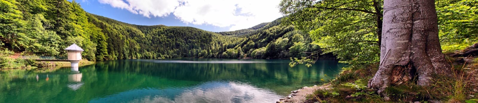Lac du Ballon